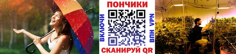 Где продают наркотики Томмот APVP  Кокаин  Мефедрон  Каннабис 
