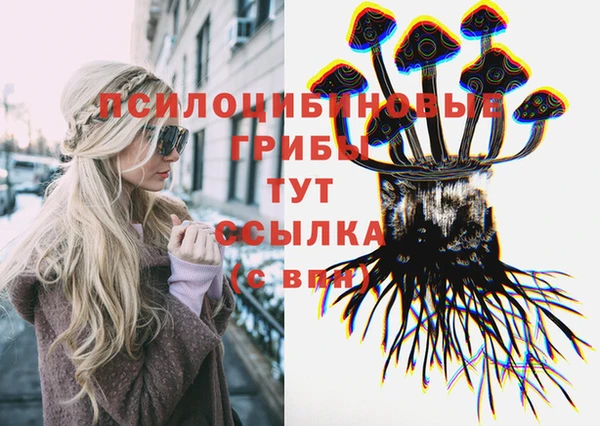 таблы Алзамай